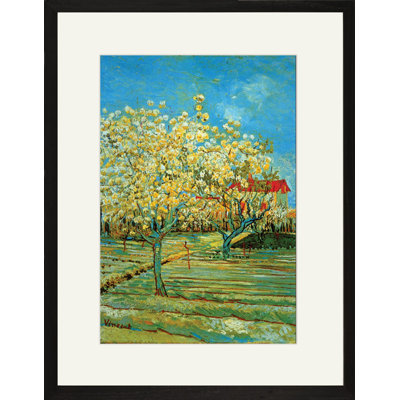 Orchard with Cypress by Vincent Van Gogh Framed Painting Print