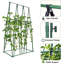 270cm H x270m W Steel Arched Trellis for Cucumber Climbing Plants Tomatoes Peas