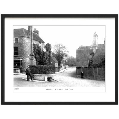 Bexhill, Walnut Tree 1903 by Francis Frith - Single Picture Frame Print