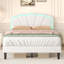 Standard-1545504045-1545504042