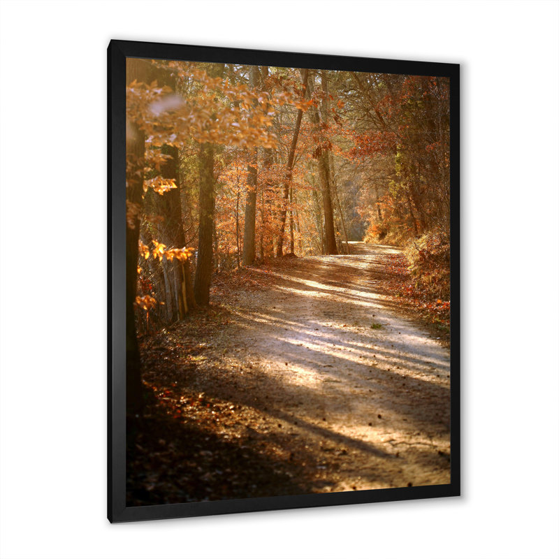 «Colorful Fall Leaves II», art mural traditionnel sur toile, H 44 po x l 34 po x P 1,5 po, Cadre photo noir