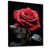 Black Floater Framed