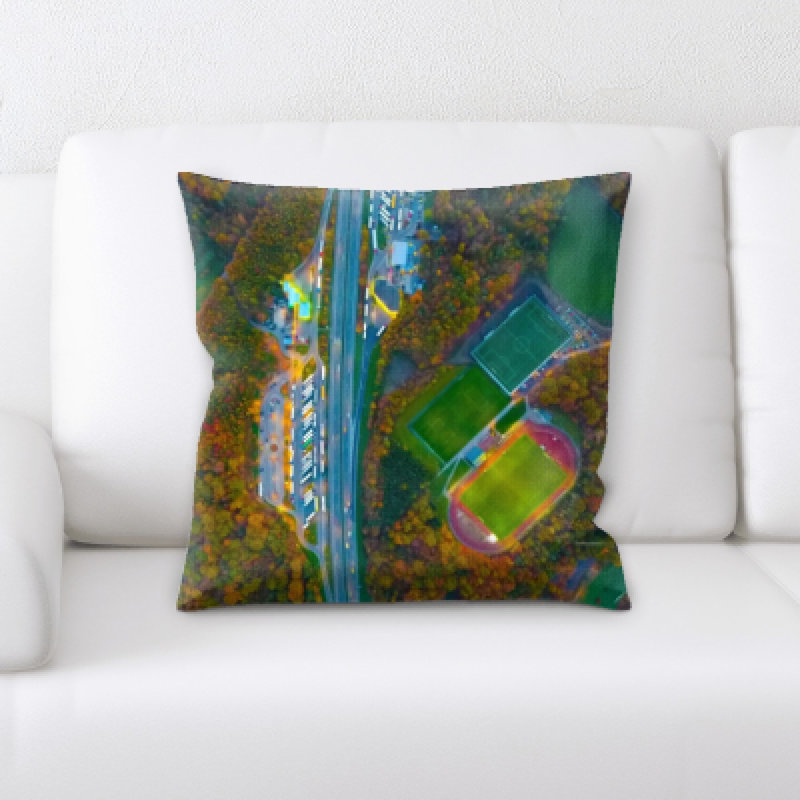 Microsuede Throw Pillow