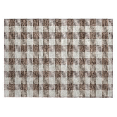 Plaid Indoor / Outdoor Rug