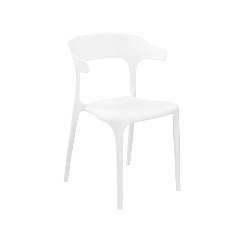 Glowacki Dining Chair, White