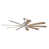 Brushed Polished Nickel with Driftwood Blades is out of stock selected