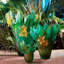 Tressage Handmade Crystal Table Vase