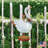 Hanging No Holiday Decoration