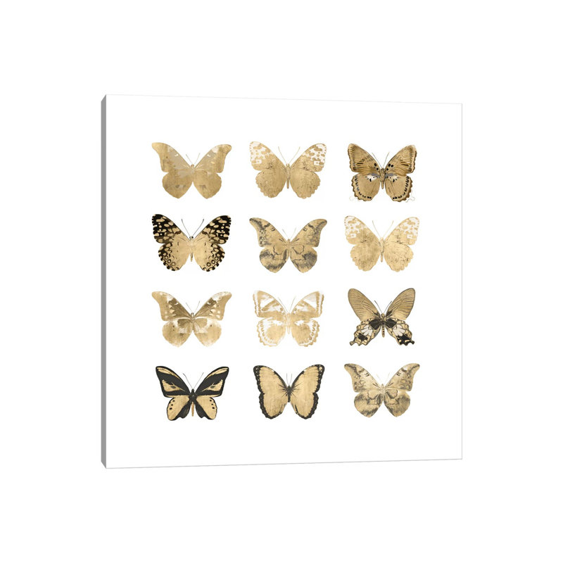 Butterfly Study In Gold II by Julia Bosco - No Frame Gallery-Wrapped Canvas Giclée on Canvas, 30.48cm H x 30.48cm W