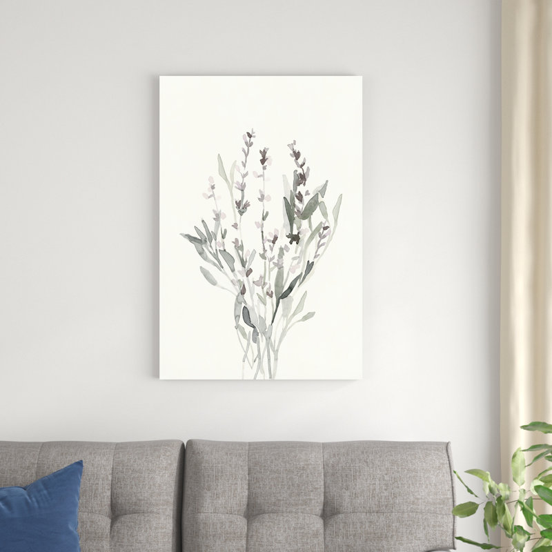 Sauge délicate botanique V, H 36 po x l 24 po