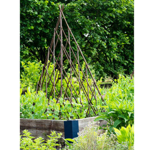 Treillis de saule extensible Willow