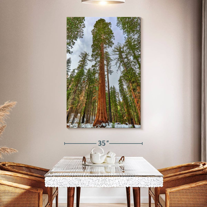 Harnek Giant Sequoia Grove, 51" H x 34" W