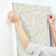 Papier peint Rainforest-61597595