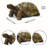 Turtle Garden Statue