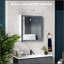 Armoire à pharmacie murale avec miroir et tablettes réglables, parfaite pour les salles de bain modernes et un rangement efficace