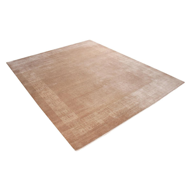 Oriental Area Rug in Beige