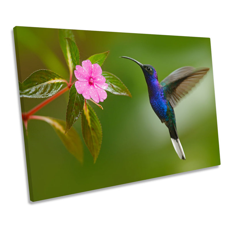 Humming Bird Floral - Wrapped Canvas Print, 61cm H x 91.4cm W x 4cm D