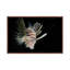 In The Dark by David Gardiner - Print on Canvas-247814991-263569211