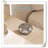 Rephen Stainless Steel Ashtray