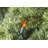 50.5' 100-Light String Lights-31889550