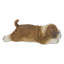 Aimant de bouledogue