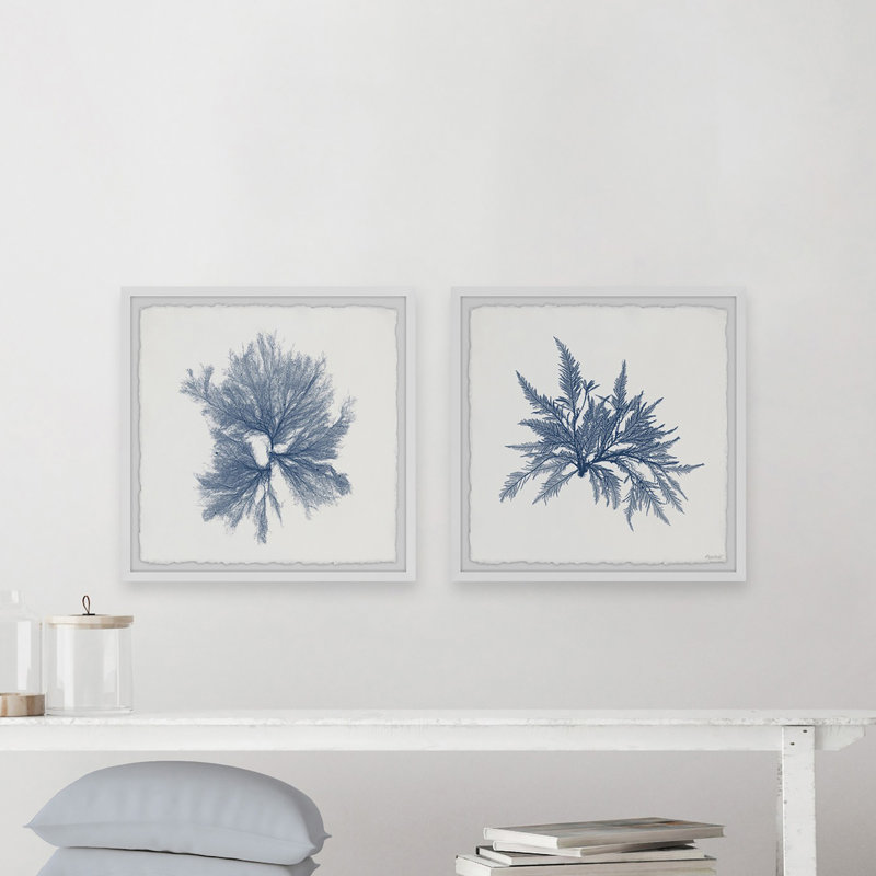 Marine sea weed vi’par marmont hill-ensemble de 2 reproductions d’art encadrées sur papier, H 12 po x l 12 po x P 1,5 po