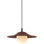 Single Light Pendant