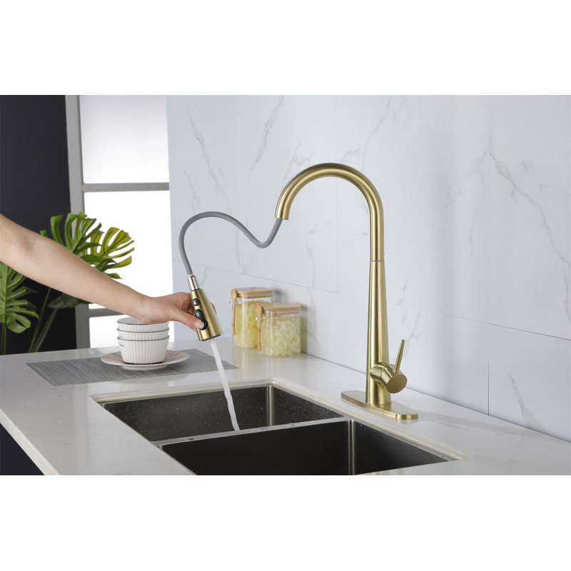 Single Handle Stainless Steel Kitchen Sink Faucet with Pull Down Sprayer