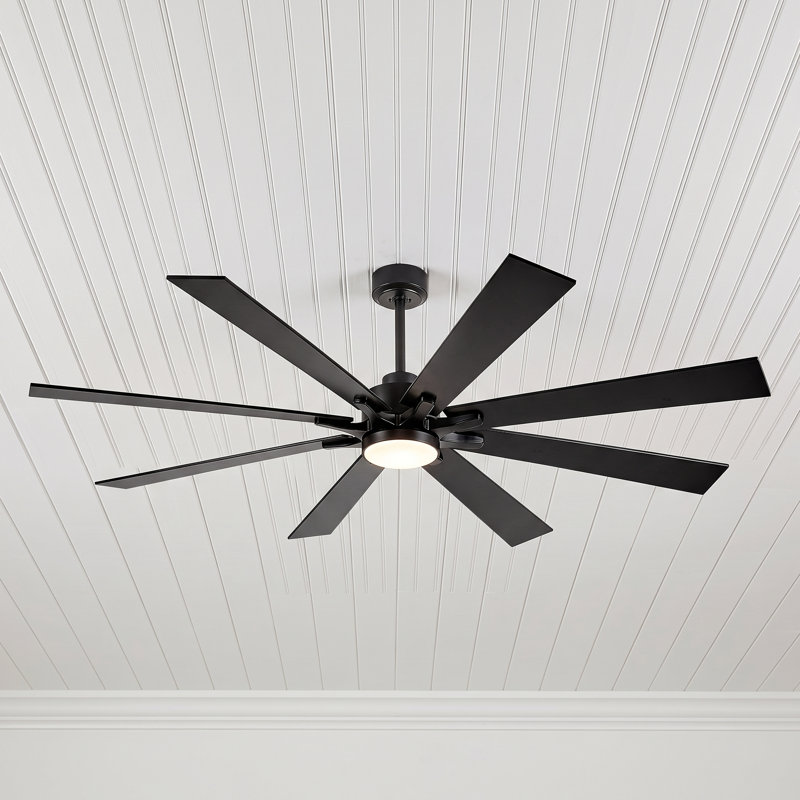 Ceiling Fan
