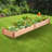 Cassidie Wood Raised Garden Bed