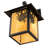 Rustic Lodge Brass Wall Light