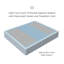 Passions Kelbrooke 16" Plush Euro Pillowtop Hybrid Mattress-222249179