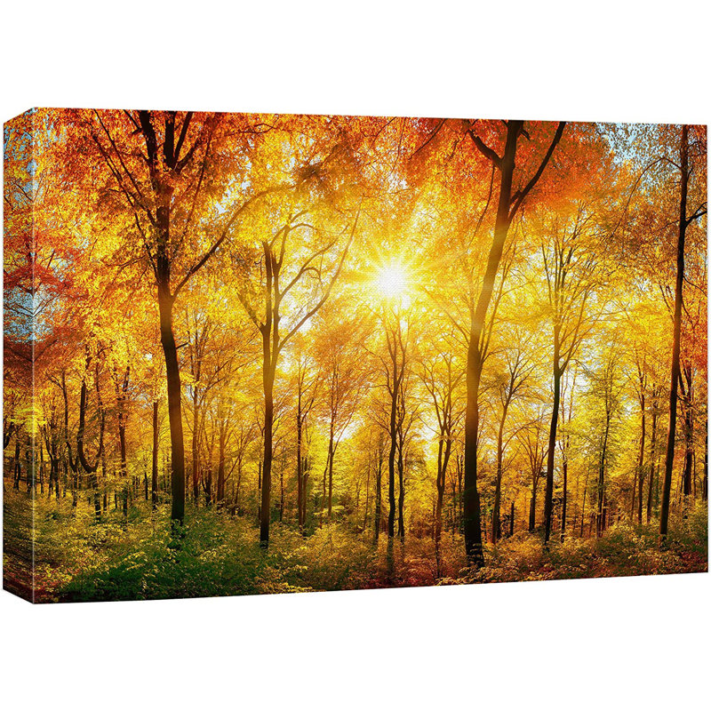 Autumn Fall " Autumn Tree Leaf Forest Sunlight Nature Wilderness ", 16" H x 24" W x 1.5" D