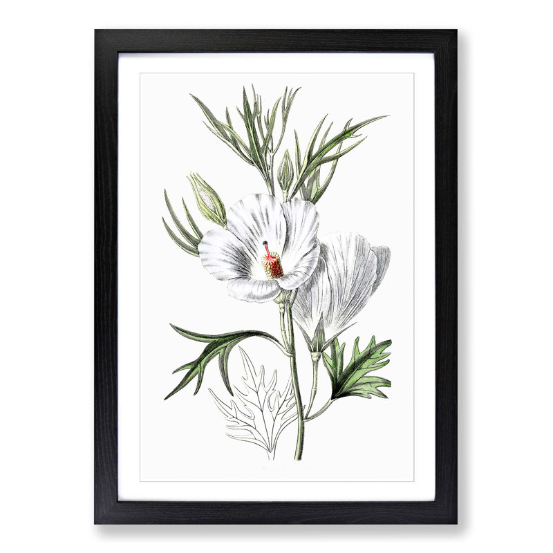 White Hibiscus Flowers - Picture Frame Painting Print, 36cm H x 27cm W x 2cm D, Black Framed
