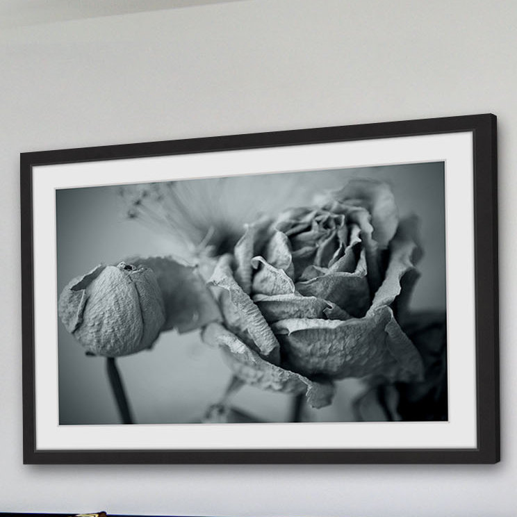 Judy Stalus - Single Picture Frame Print, 41cm H x 61cm W x 3.81cm D