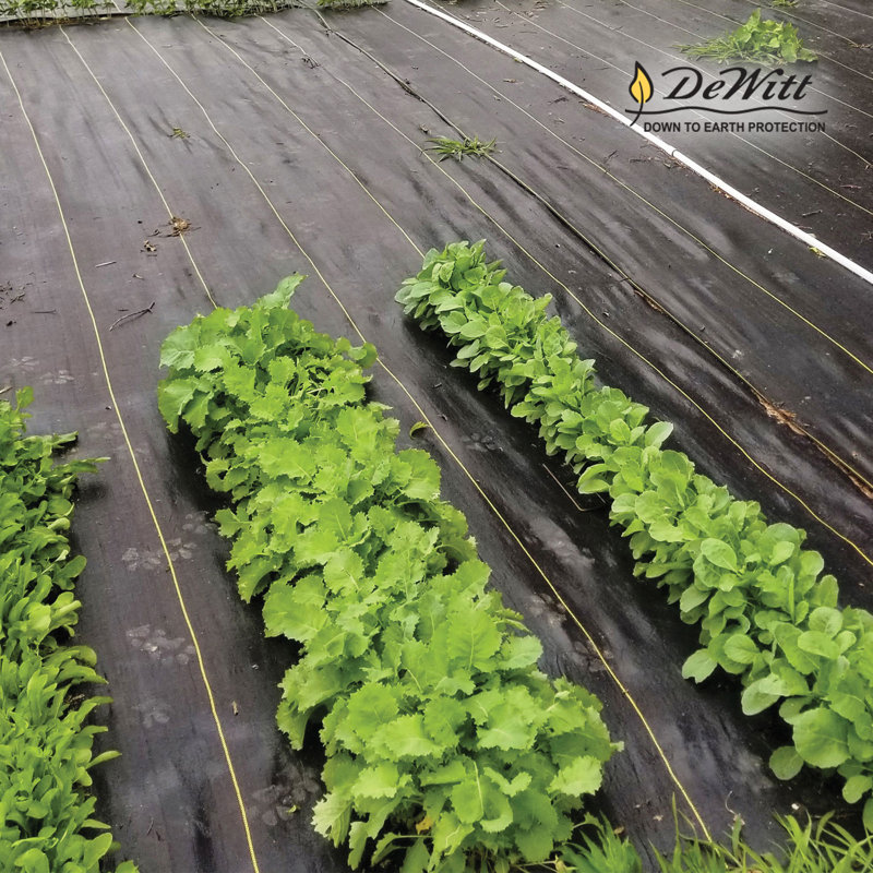 DeWitt Sunbelt 4' Wide Woven Weed Barrier Landscape Fabric