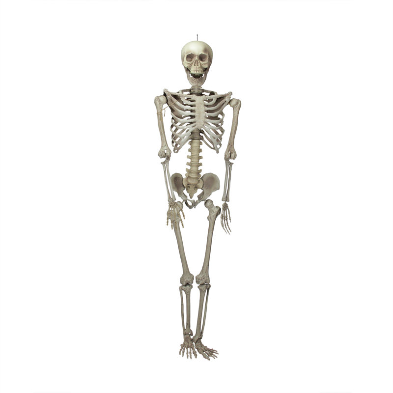 Décoration pour Halloween 6,5 pi