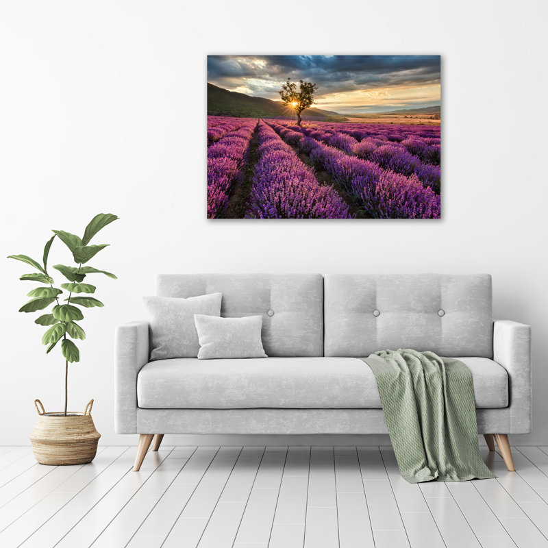 Lavender Field - No Frame Print on Glass