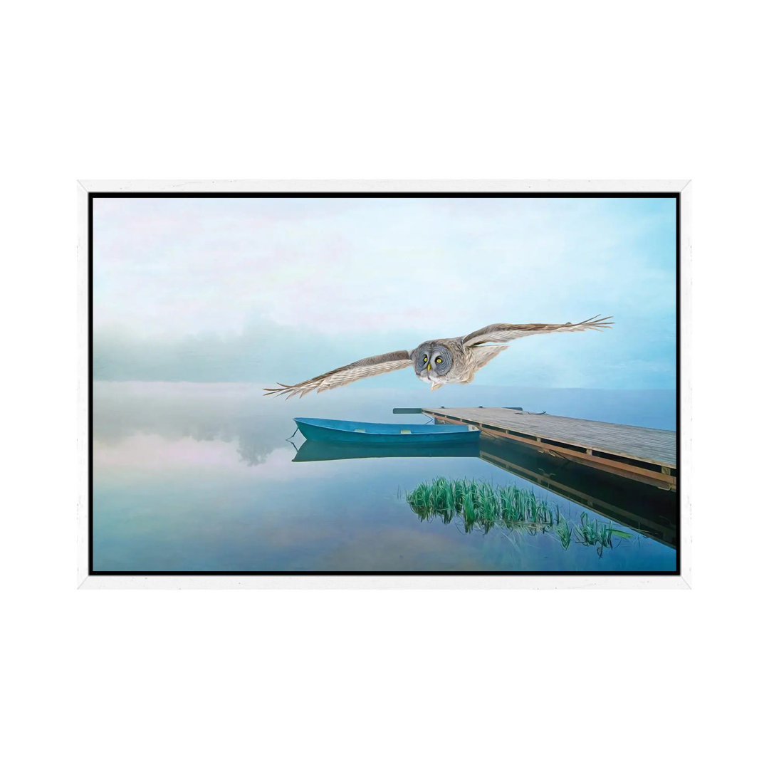 Steinkauz im Flug über den Teich von Laura D Young - Galerie-umwickelte Leinwand Giclée auf Leinwand