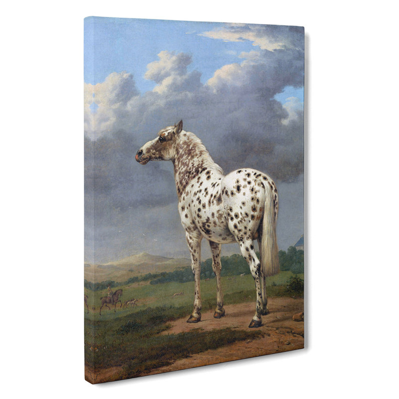 The Piebald Horse by Paulus Potter - Wrapped Canvas Painting, 50cm H x 35cm W x 3cm D