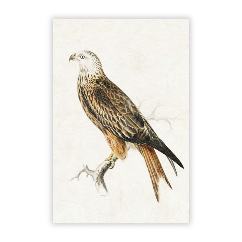 Red Kite by Von Wright - Frameless Print, 84.1 cm H x 59.4 cm W