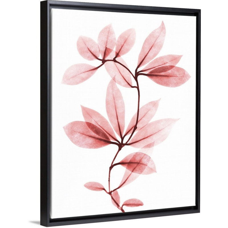"Coral Wonder 1" par Albert Koetsier, reproduction d’art sur toile, Toile avec cadre noir, H 42 po x l 32 po x P 1,75 po