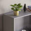142cm H x 60cm W Standard Bookcase-70966730-70966728