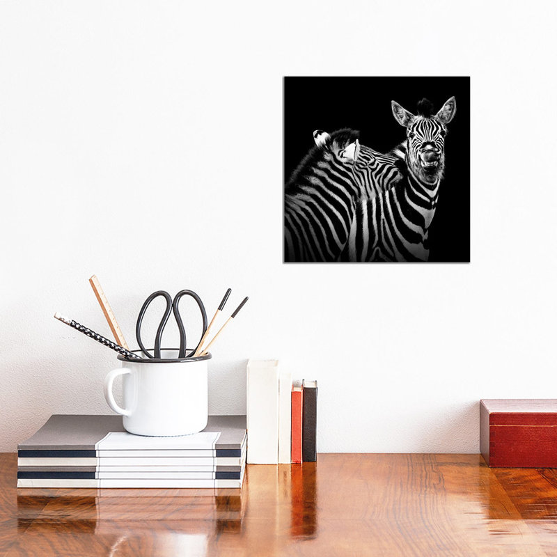 Two Zebras In Black And White II by Lukas Holas - Wrapped Canvas Print, 30.48 cm H x 30.48 cm W
