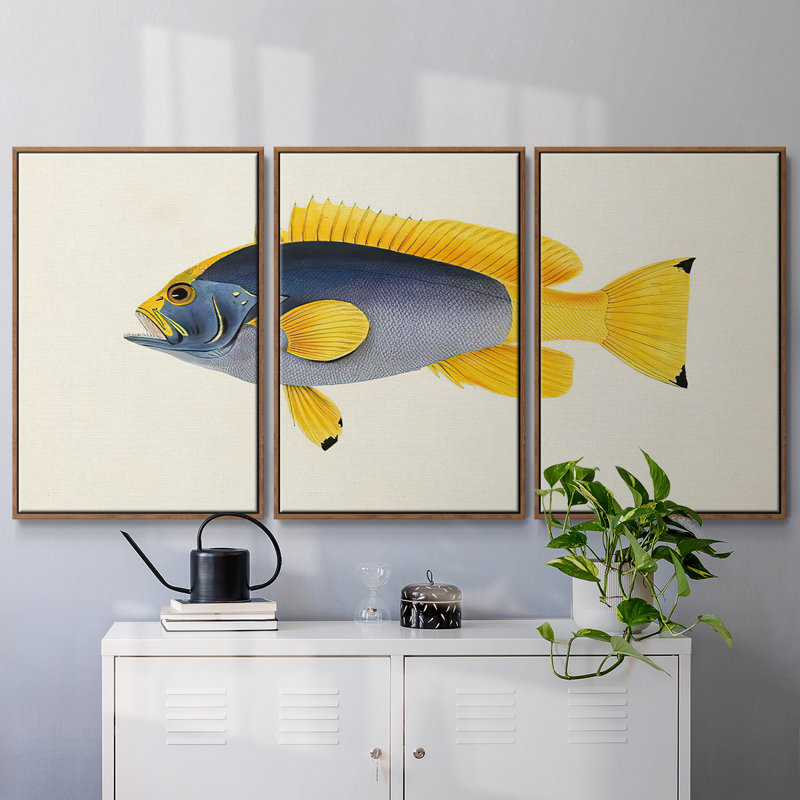 Collection de poissons tropicaux V 3 pièces, H 36 po x l 75 po x P 2 po, Noyer