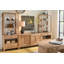 Mya Entertainment Console