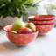 KitchenCraft Red Floral and Blue Edge Ceramic Bowls