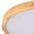 Cristalle Acrylic LED Flush Mount-1313688001