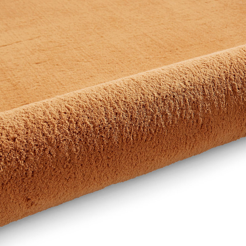 Tejal area rug Machine Woven Rectangle Camel, Rectangle 120 x 170cm