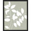 " Botanical Plants Leaves "-98266877-98266876